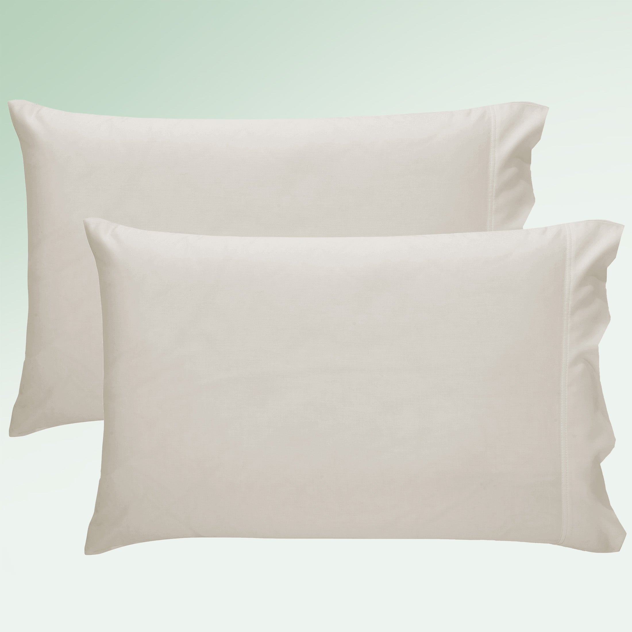 Standard / Queen - 2 Pillowcases